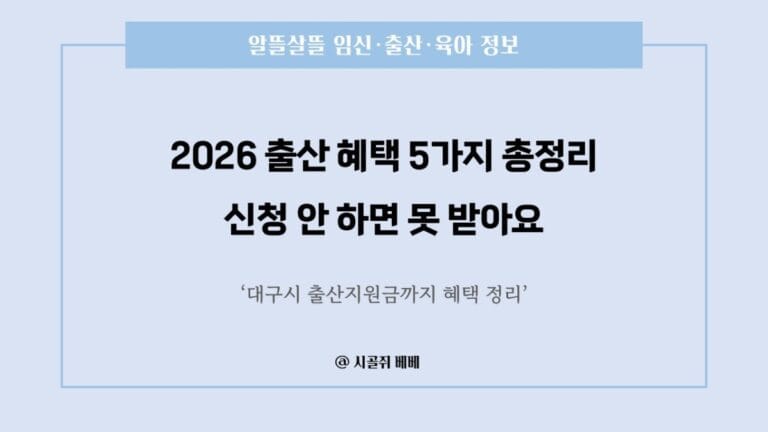 2026년 출산 혜택 5가지 체크리스트