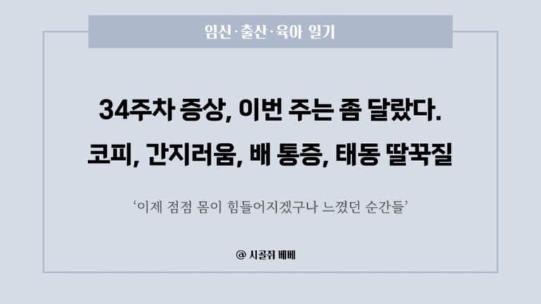 임신 34주차 증상 일기 — 코피, 배 간지러움, 배 통증, 태동