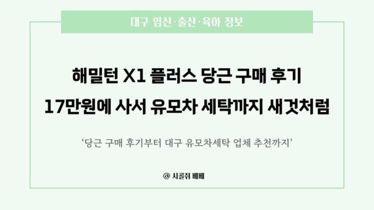 해밀턴 x1플러스 당근 구매 후기-17만원에 사서 유모차 세탁까지 새것처럼 만든 이야기
