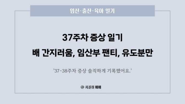 37주차 증상 일기