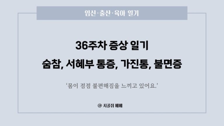 임신 36주차 증상 — 숨참, 서혜부 통증, 가진통, 불면증 기록