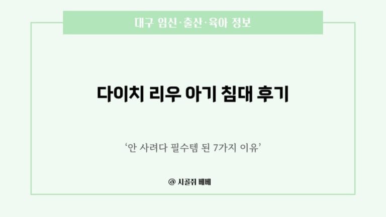 다이치 리우 이동형 아기침대 후기